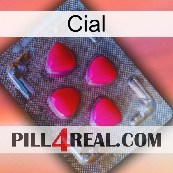 Cial 13